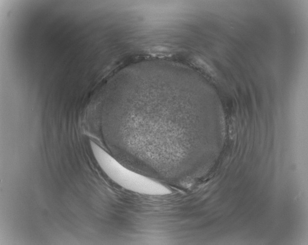 X0000068261298200605121809