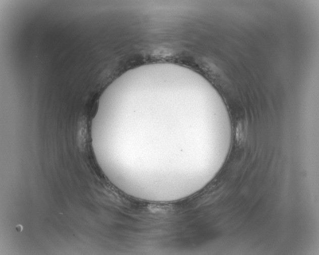 X0000068261299200605121809