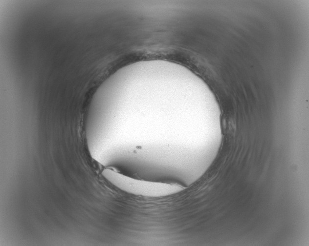 X0000068261300200605121809