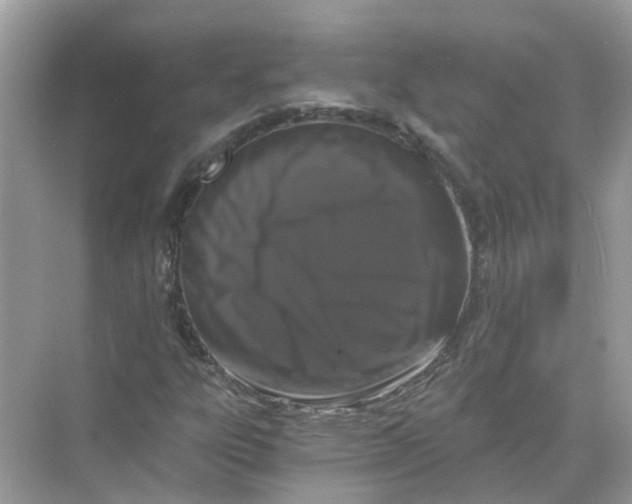 X0000068261303200605121809