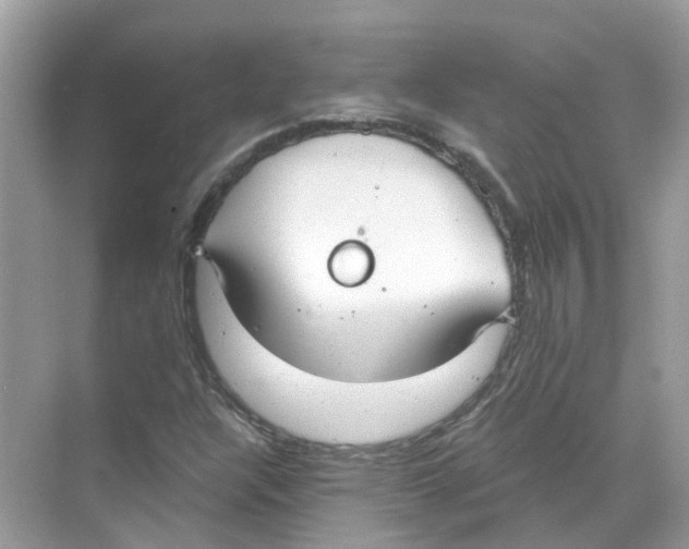 X0000068261304200605121809