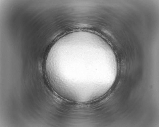 X0000068261305200605121810