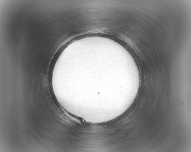 X0000068261308200605121810