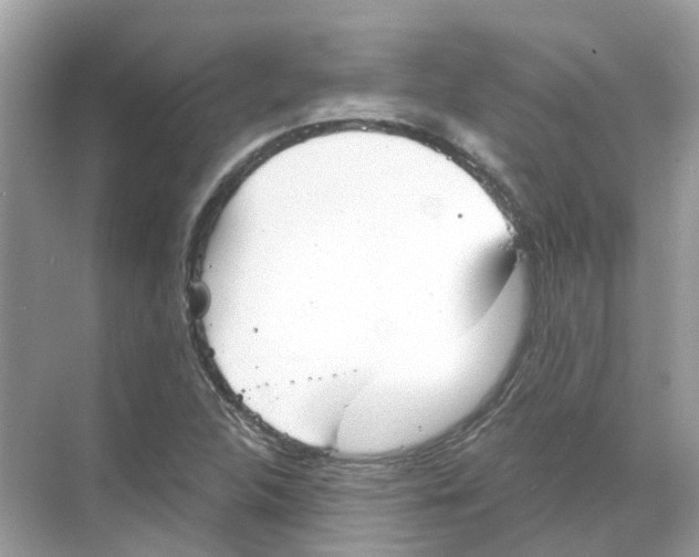 X0000068261312200605121810