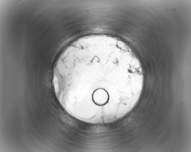 X0000068261314200605121810