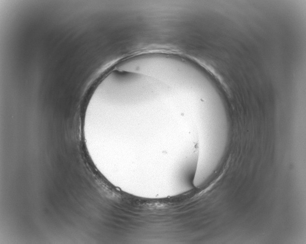 X0000068261317200605121810