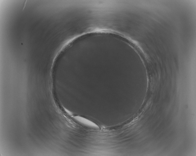 X0000068261319200605121810