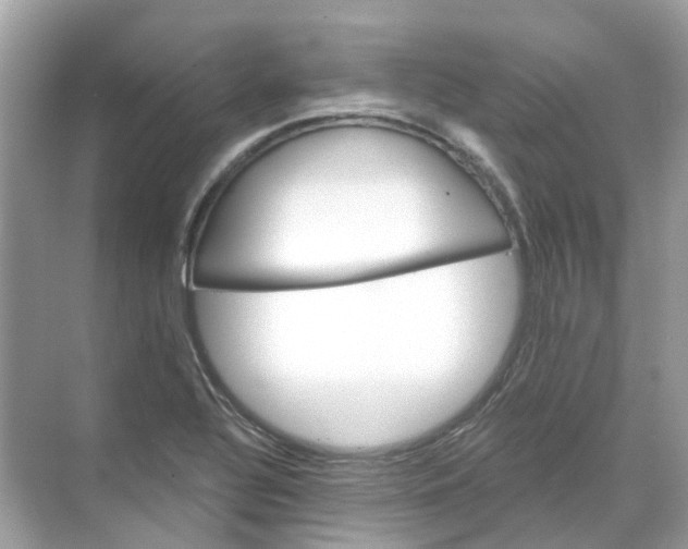 X0000068261320200605121810