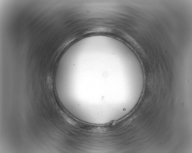 X0000068261321200605121810