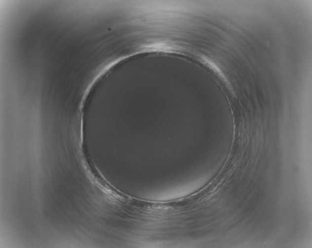 X0000068261323200605121810