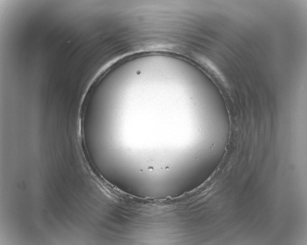 X0000068261324200605121810