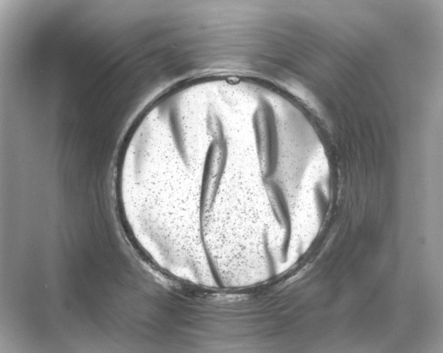 X0000068261325200605121810