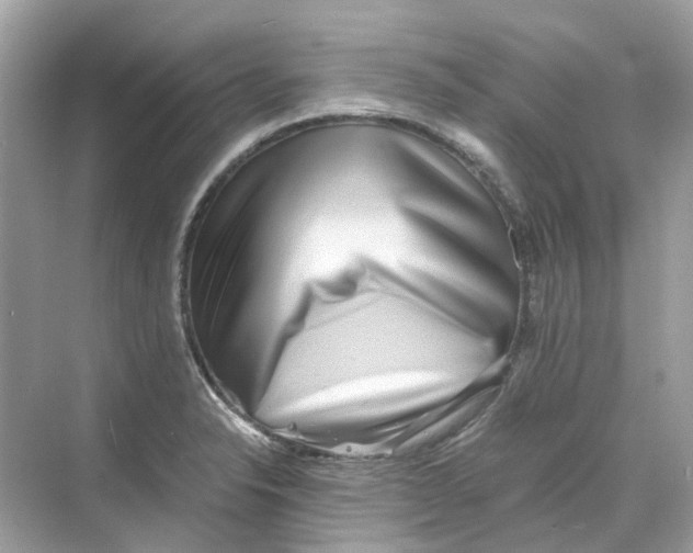 X0000068261326200605121810