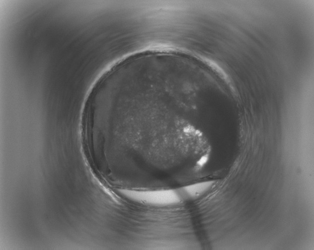 X0000068261327200605121810