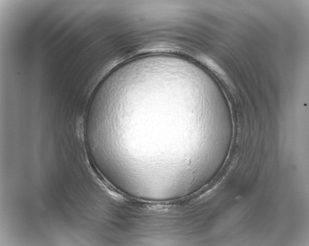 X0000068261329200605121810