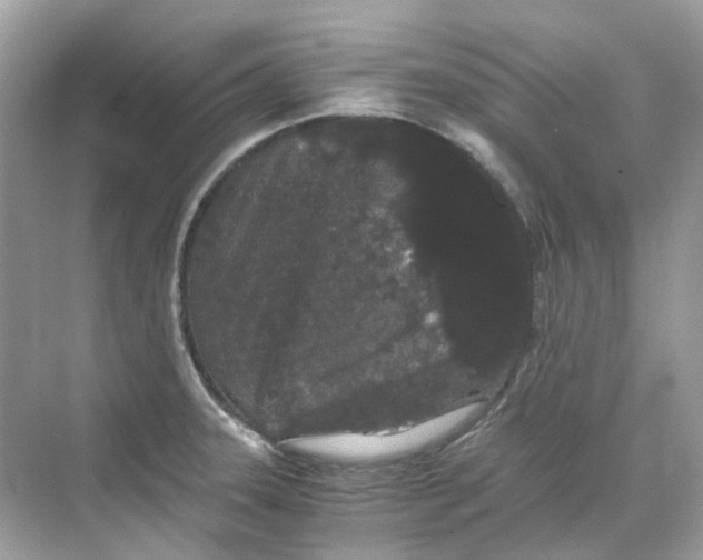 X0000068261331200605121810