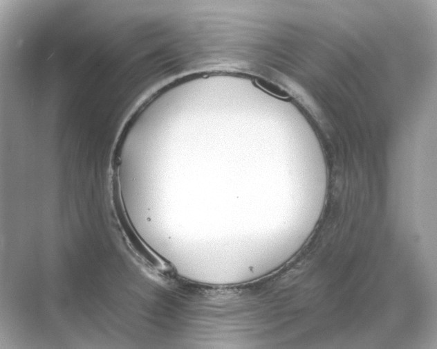 X0000068261332200605121810