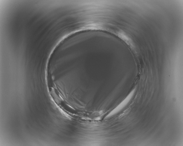 X0000068261334200605121810