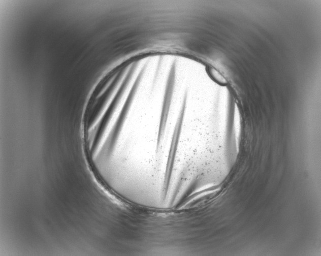 X0000068261335200605121810