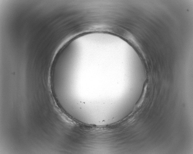 X0000068261336200605121810