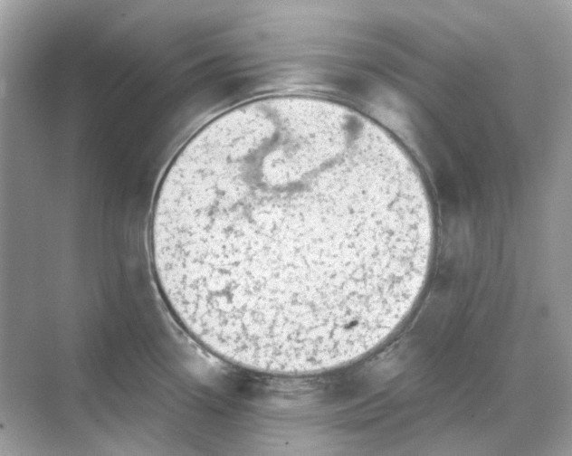 X0000068261338200605121810