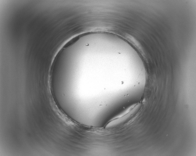 X0000068261340200605121810