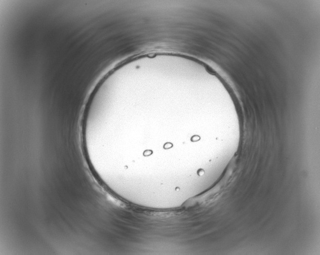 X0000068261341200605121810