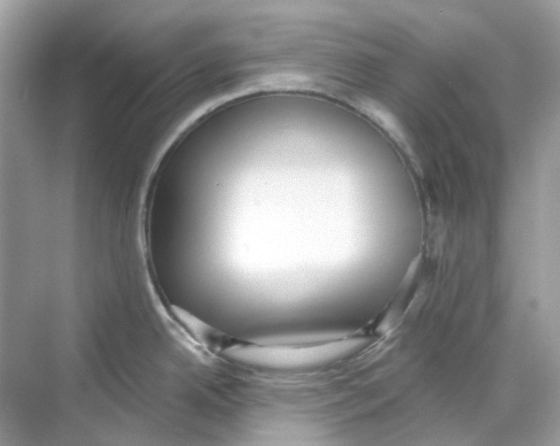 X0000068261342200605121810