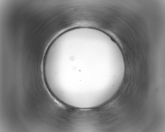 X0000068261343200605121810