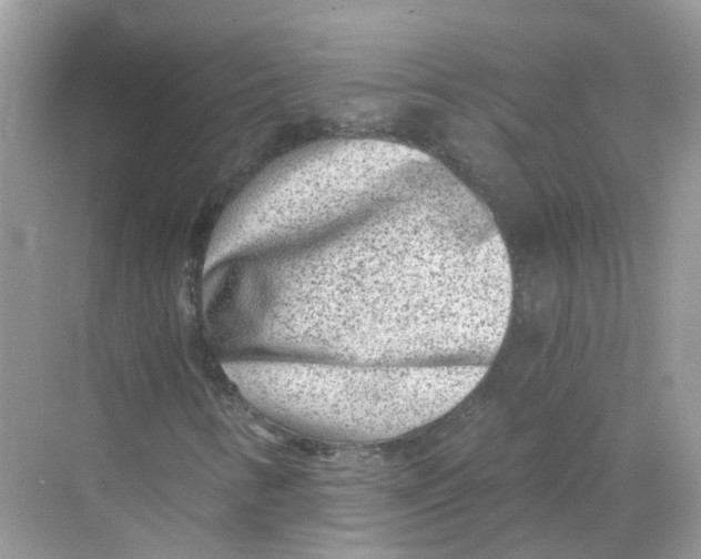 X0000068261346200605121809