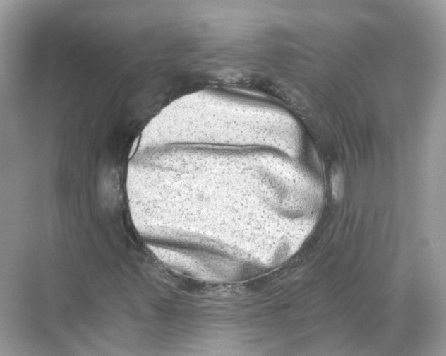 X0000068261347200605121809