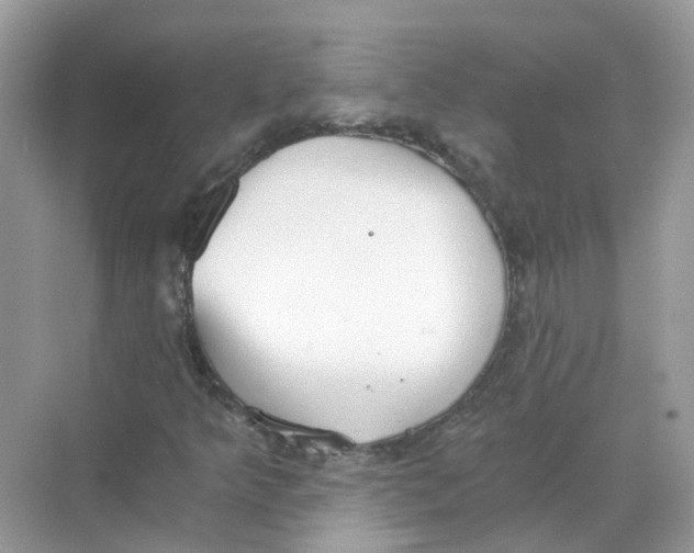 X0000068261349200605121809