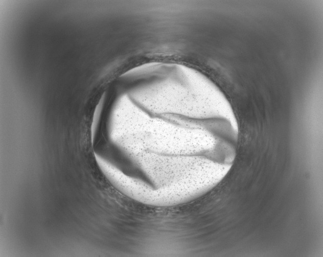 X0000068261350200605121809