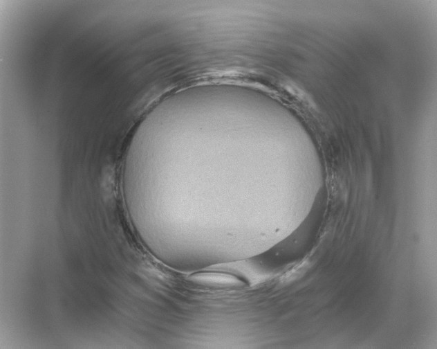 X0000068261353200605121809