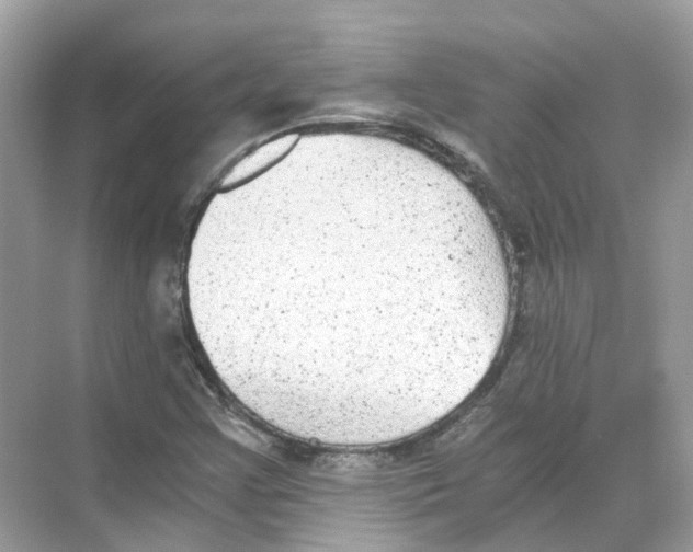 X0000068261355200605121809