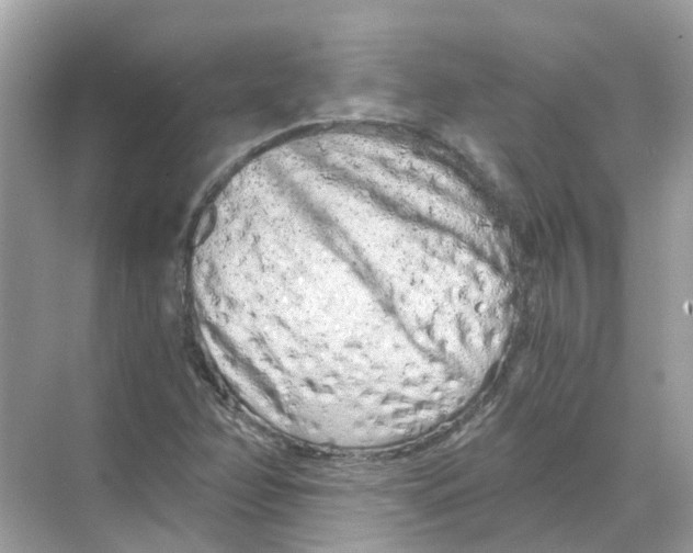 X0000068261358200605121809