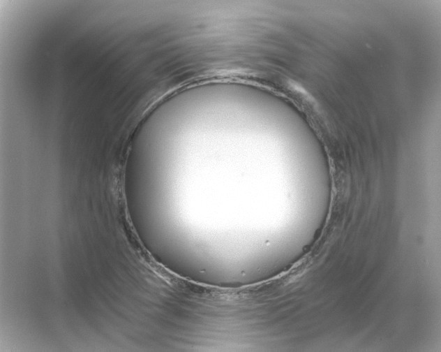 X0000068261361200605121809