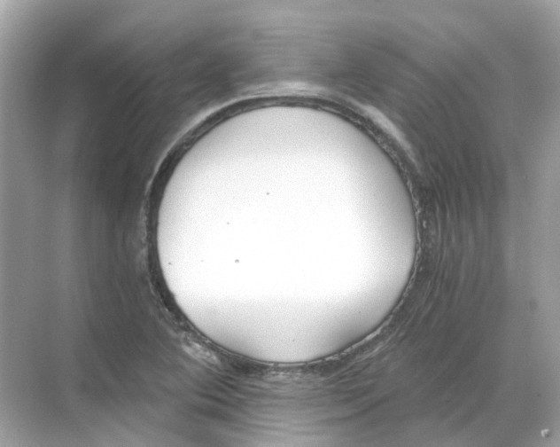 X0000068261364200605121809