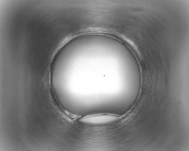 X0000068261365200605121809