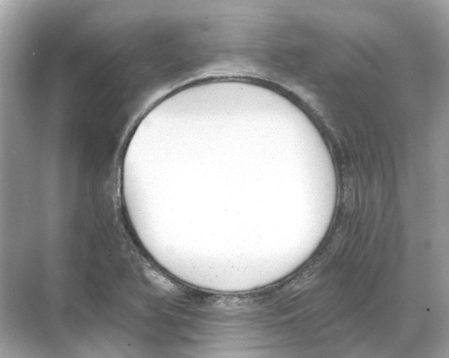 X0000068261366200605121809