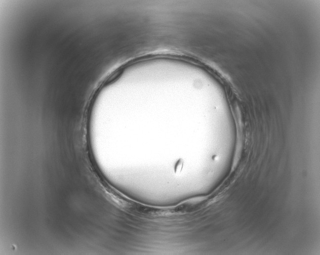 X0000068261367200605121809