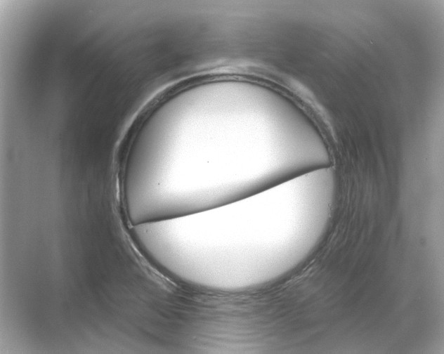 X0000068261368200605121809