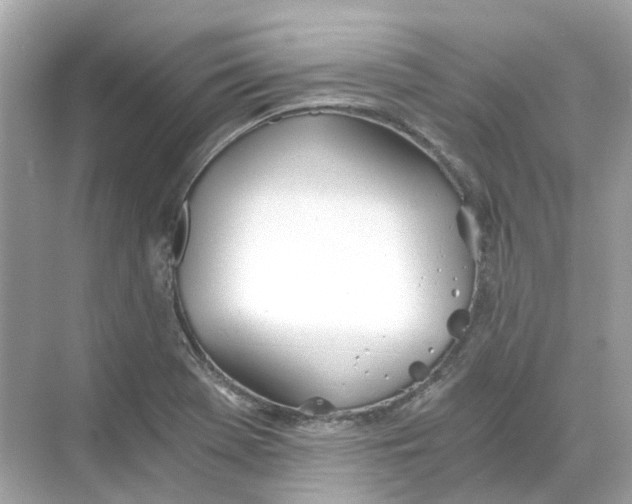 X0000068261369200605121809