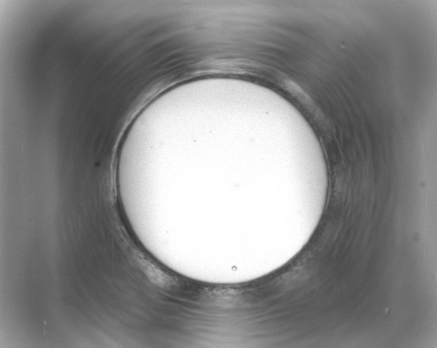 X0000068261370200605121809