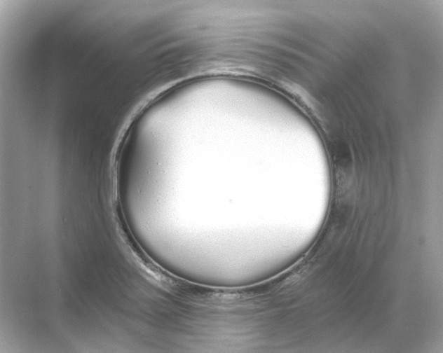 X0000068261371200605121809