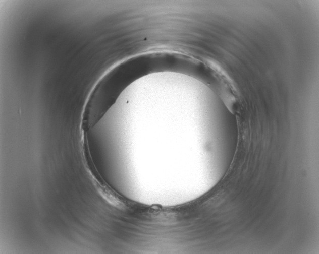 X0000068261372200605121809