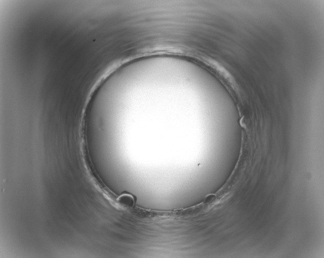 X0000068261373200605121809