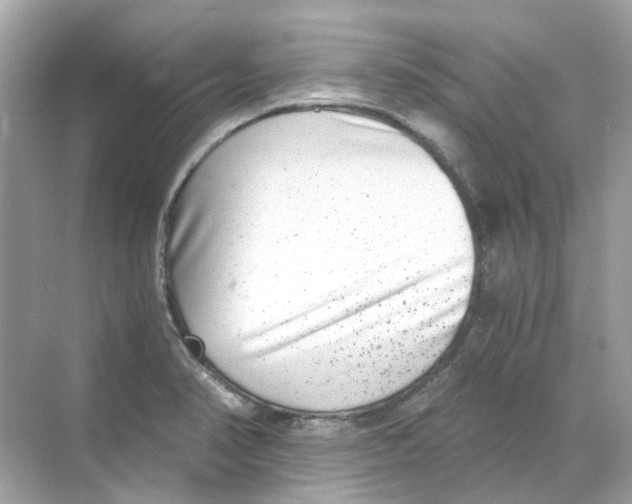 X0000068261374200605121809