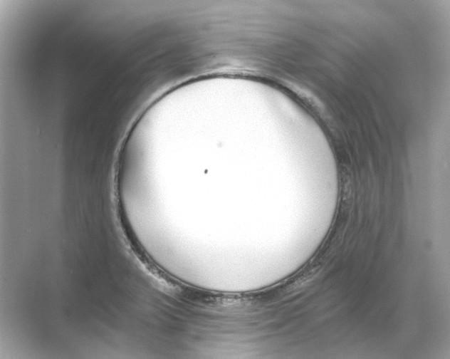 X0000068261375200605121809