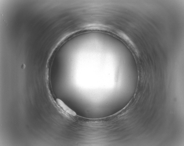 X0000068261376200605121809